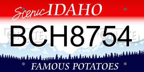 BCH8754 Idaho License Plate