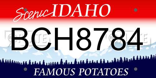BCH8784 Idaho License Plate
