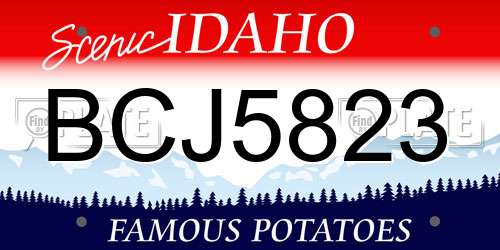 BCJ5823 Idaho License Plate
