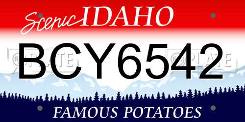 BCY6542 Idaho License Plate