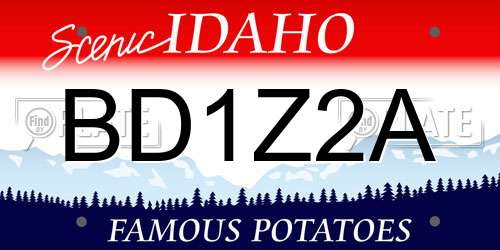 BD1Z2A Idaho License Plate