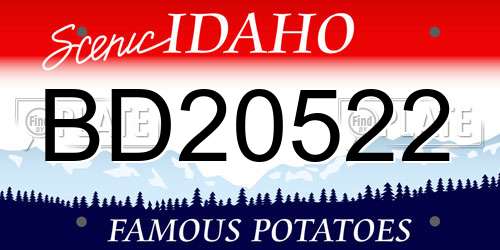 BD20522 Idaho License Plate