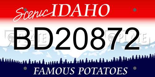 BD20872 Idaho License Plate