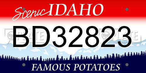BD32823 Idaho License Plate