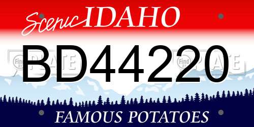 BD44220 Idaho License Plate