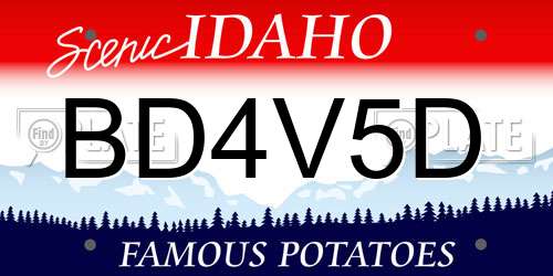 BD4V5D Idaho License Plate