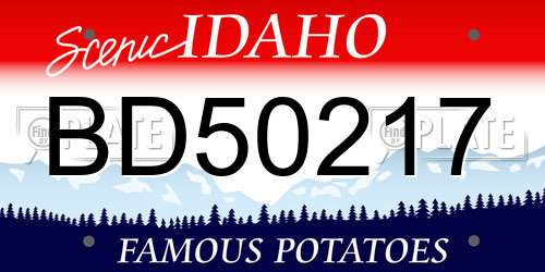 BD50217 Idaho License Plate