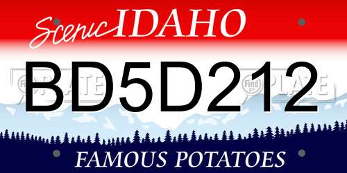 BD5D212 Idaho License Plate