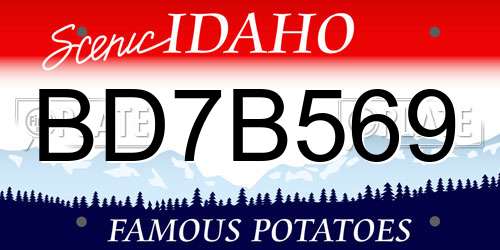 BD7B569 Idaho License Plate