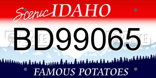 BD99065 Idaho License Plate