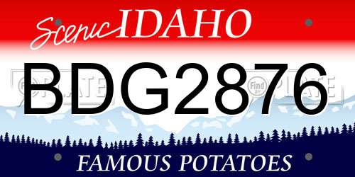 BDG2876 Idaho License Plate