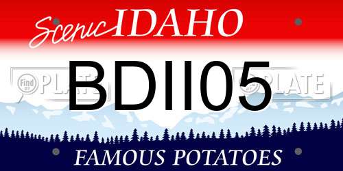 BDII05 Idaho License Plate