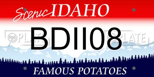 BDII08 Idaho License Plate