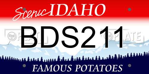 BDS211 Idaho License Plate