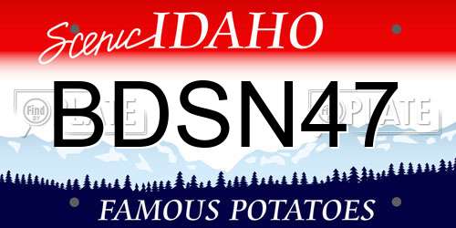 BDSN47 Idaho License Plate