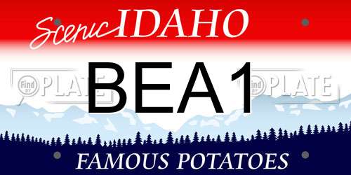 BEA1 Idaho License Plate
