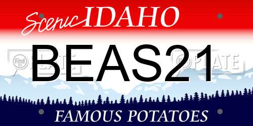 BEAS21 Idaho License Plate