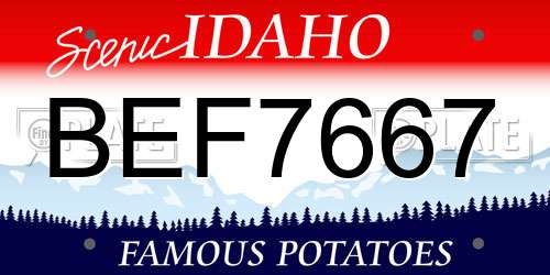 BEF7667 Idaho License Plate
