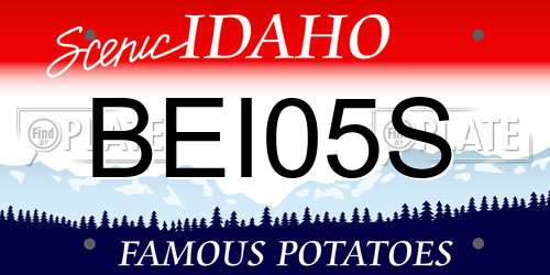 BEI05S Idaho License Plate