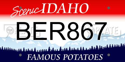 BER867 Idaho License Plate