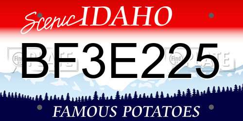 BF3E225 Idaho License Plate