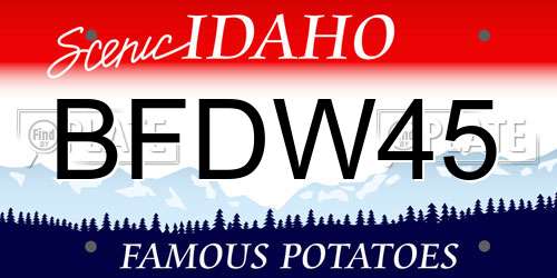 BFDW45 Idaho License Plate