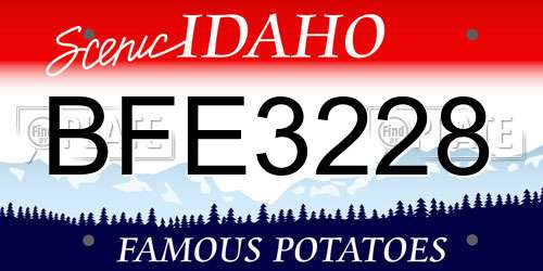 BFE3228 Idaho License Plate