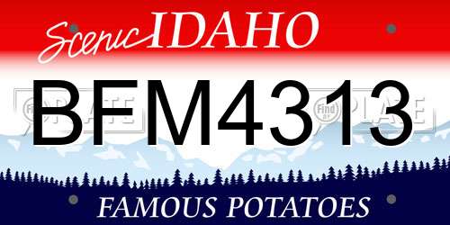 BFM4313 Idaho License Plate