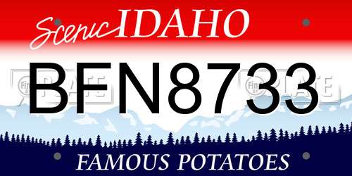 BFN8733 Idaho License Plate
