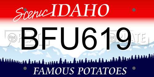 BFU619 Idaho License Plate