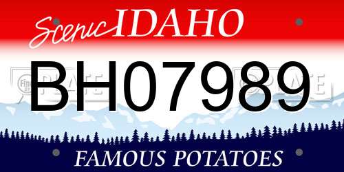 BH07989 Idaho License Plate