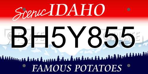 BH5Y855 Idaho License Plate