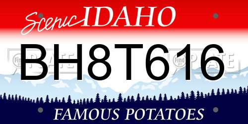 BH8T616 Idaho License Plate