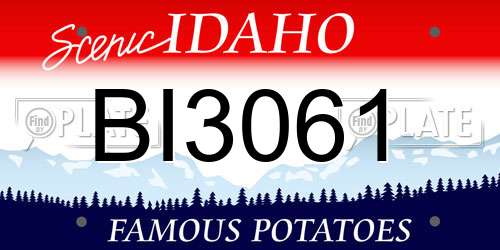 BI3061 Idaho License Plate