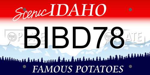 BIBD78 Idaho License Plate
