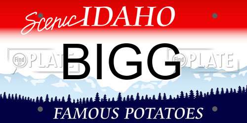 BIGG Idaho License Plate