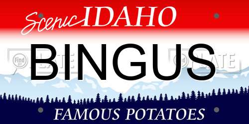 BINGUS Idaho License Plate