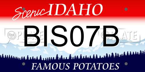 BIS07B Idaho License Plate