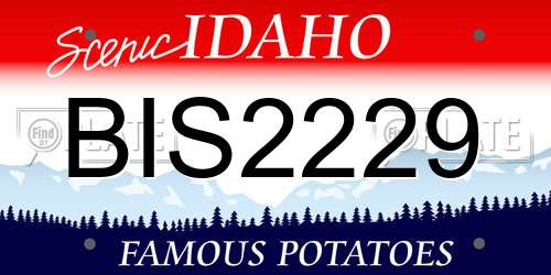 BIS2229 Idaho License Plate