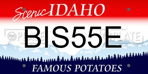BIS55E Idaho License Plate