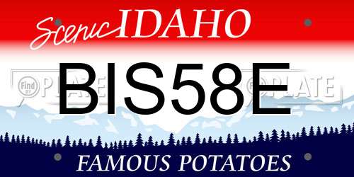 BIS58E Idaho License Plate