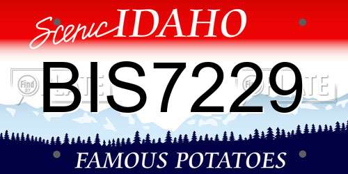 BIS7229 Idaho License Plate