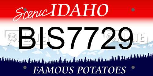 BIS7729 Idaho License Plate