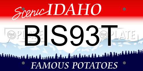 BIS93T Idaho License Plate