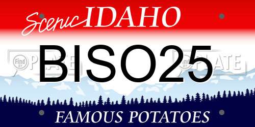 BISO25 Idaho License Plate
