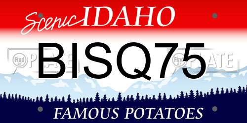 BISQ75 Idaho License Plate