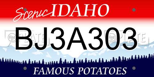 BJ3A303 Idaho License Plate