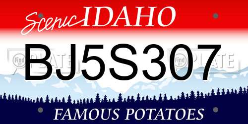 BJ5S307 Idaho License Plate