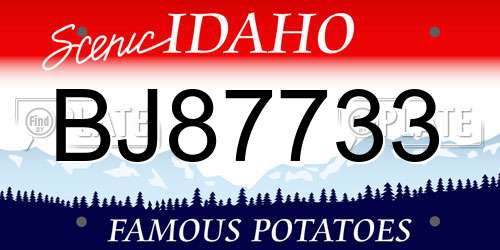 BJ87733 Idaho License Plate