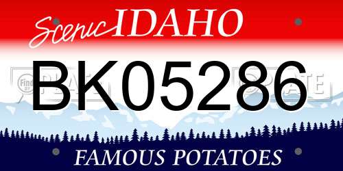 BK05286 Idaho License Plate